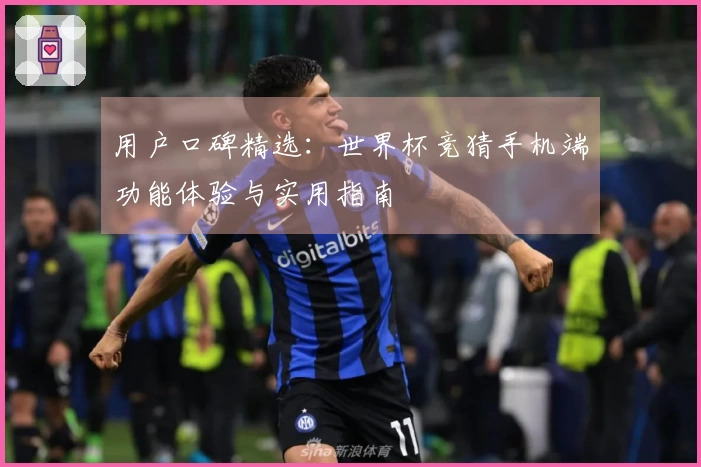 用户口碑精选:世界杯竞猜手机端功能体验与实用指南