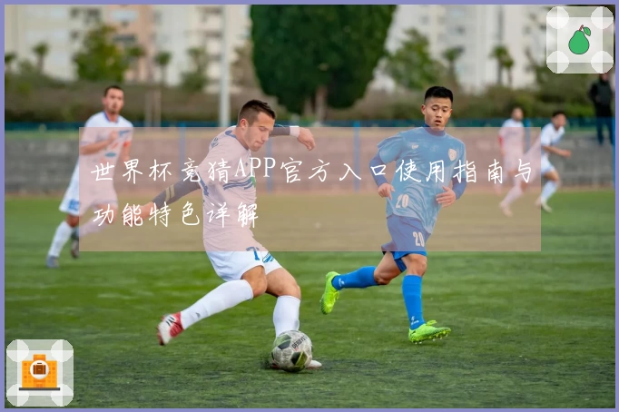 世界杯竞猜APP官方入口使用指南与功能特色详解