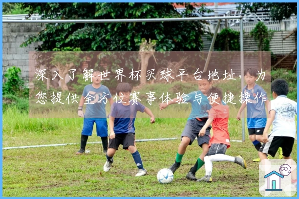 深入了解世界杯买球平台地址，为您提供全方位赛事体验与便捷操作指南