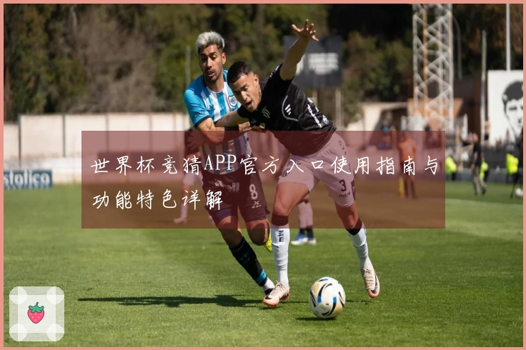 世界杯竞猜APP官方入口使用指南与功能特色详解
