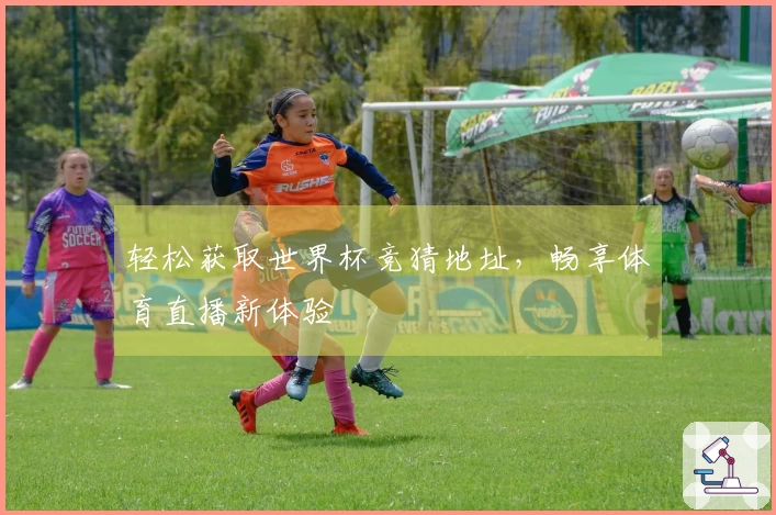 轻松获取世界杯竞猜地址，畅享体育直播新体验